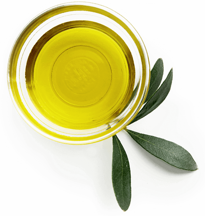 olive oil philosophy